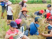 Tổ chức hoạt động trải nghiệm cho học sinh: Đừng sợ những điều chưa hoàn hảo